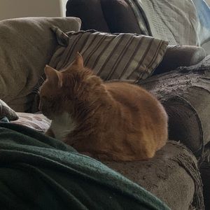 Meet your Posher, Leilani